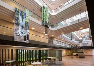 Oficina en alquiler en Can Mates  - Volpelleres en Sant Cugat del Vallès