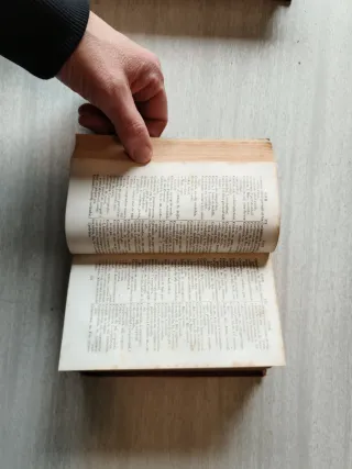 Dicccionario Castellano-Catalán antiguo