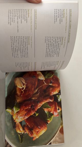 Olla programable GM modelo D