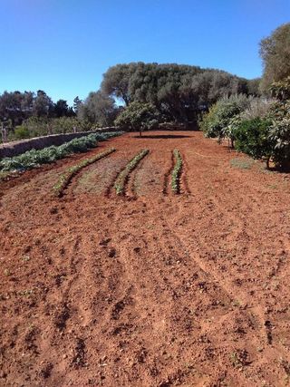 Casa rural en venta en Ciutadella en Ciutadella de Menorca