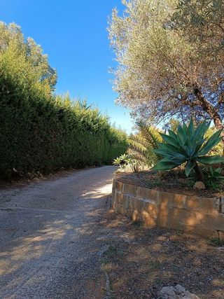 Casa rural en venta en El Padrón - El Velerín - Voladilla en Estepona