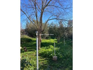 Casa rural en venta en Zona periurbana en Inca