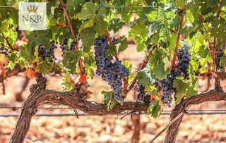 Chalet en venta en Binissalem