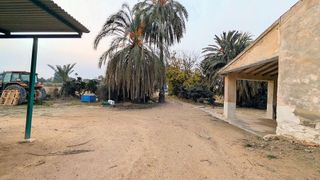 Casa rural en venta en La Algoda - Matola - El Pla en Elche