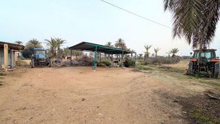 Casa rural en venta en La Algoda - Matola - El Pla en Elche