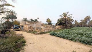 Casa rural en venta en La Algoda - Matola - El Pla en Elche