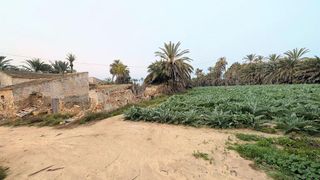 Casa rural en venta en La Algoda - Matola - El Pla en Elche