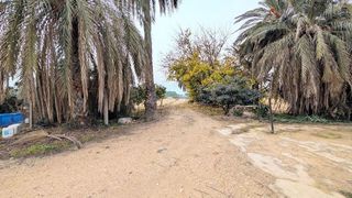 Casa rural en venta en La Algoda - Matola - El Pla en Elche