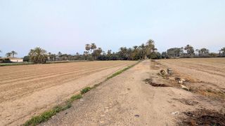 Casa rural en venta en La Algoda - Matola - El Pla en Elche