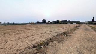 Casa rural en venta en La Algoda - Matola - El Pla en Elche