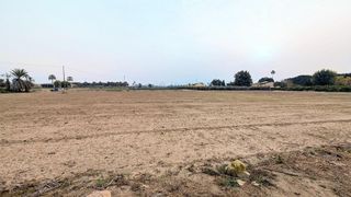 Casa rural en venta en La Algoda - Matola - El Pla en Elche