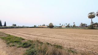 Casa rural en venta en La Algoda - Matola - El Pla en Elche