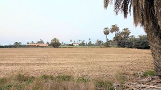 Casa rural en venta en La Algoda - Matola - El Pla en Elche