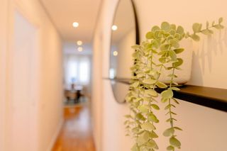 Piso en alquiler en Jerónimos en Madrid