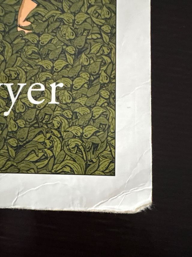 Tom Sawyer (Spanish Edition)