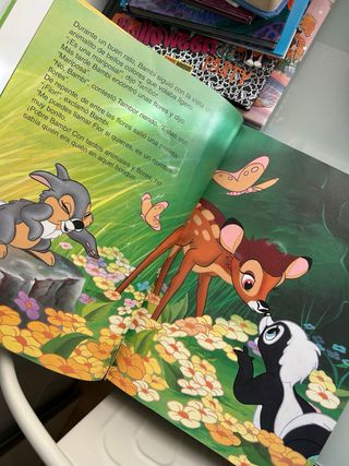 Gran festival disney