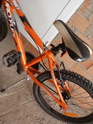 Bicicleta Proflex infantil