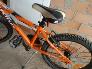 Bicicleta Proflex infantil