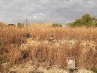 Terreno en venta en Picassent