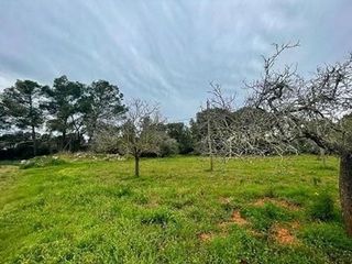 Terreno en venta en Algaida