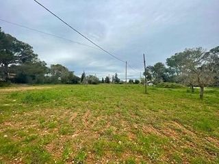 Terreno en venta en Algaida