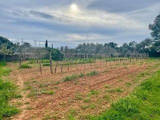 Terreno en venta en Algaida