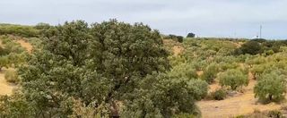 Terreno en venta en Bobadilla - Bobadilla Estación - La Joya en Antequera