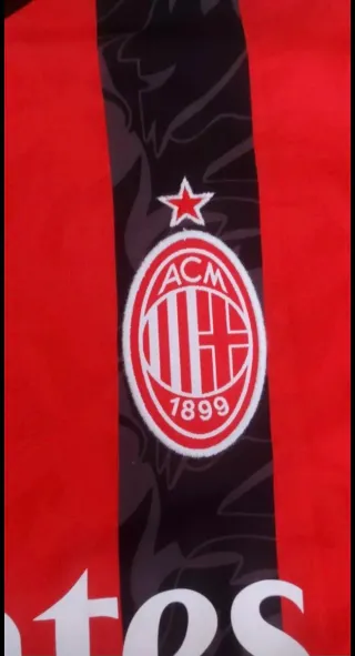 Camiseta AC Milan Talla S Puma