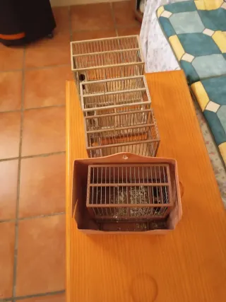Jaula para jilgueros