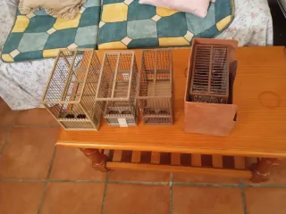 Jaula para jilgueros