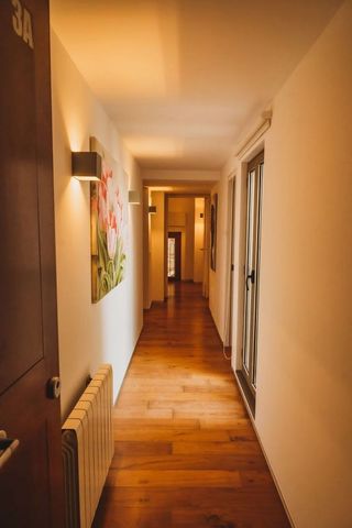 Piso en alquiler en La Seu - Cort - Monti-sión en Palma de Mallorca