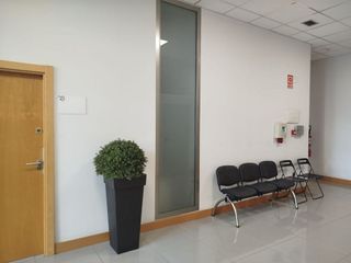 Oficina en alquiler en San Pedro de Deusto-La Ribera en Bilbao