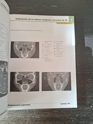 Atlas de anatomia humana [Nov 11, 2004] Netter,...