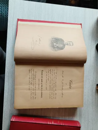 Libros antiguos Cartas a Alfonso XII