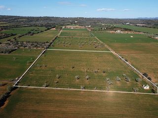 Terreno en venta en Campos