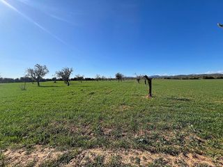 Terreno en venta en Campos