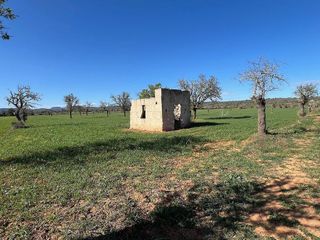 Terreno en venta en Campos