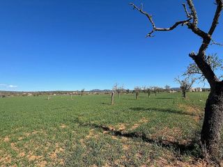 Terreno en venta en Campos