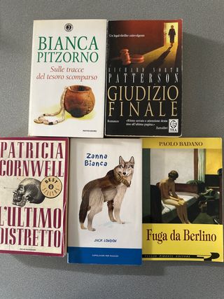 Giudizio finale romanzo
