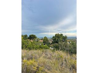 Terreno en venta en Alfarp