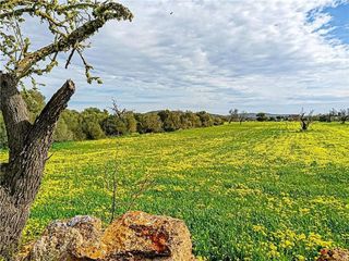 Terreno en venta en Llucmajor Interior en Llucmajor