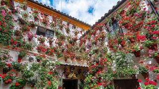 Piso en venta en Rambla (La)