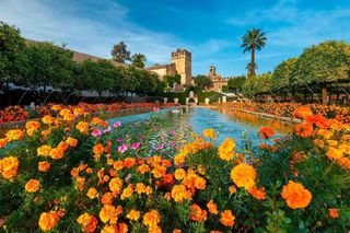 Piso en venta en Rambla (La)