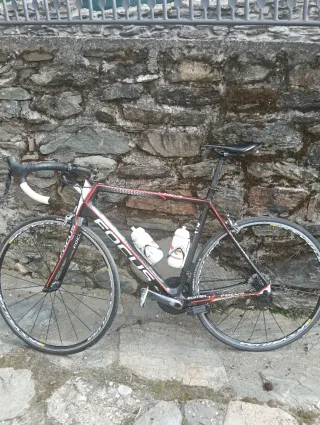 Bicicleta de carretera Focus