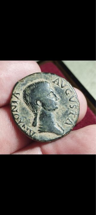 Moneda Romana Antonia