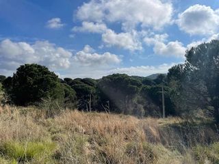 Terreno en venta en Urbanitzacions en Blanes
