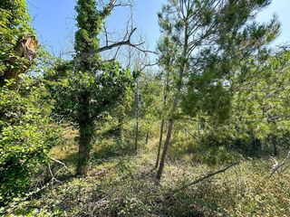 Terreno en venta en Sentmenat