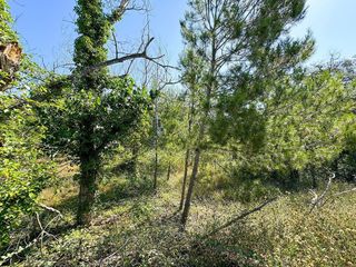 Terreno en venta en Sentmenat