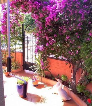 Casa en venta en Centro en Gandia