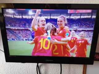 TV/Monitor Best Buy 19 pulgadas HD